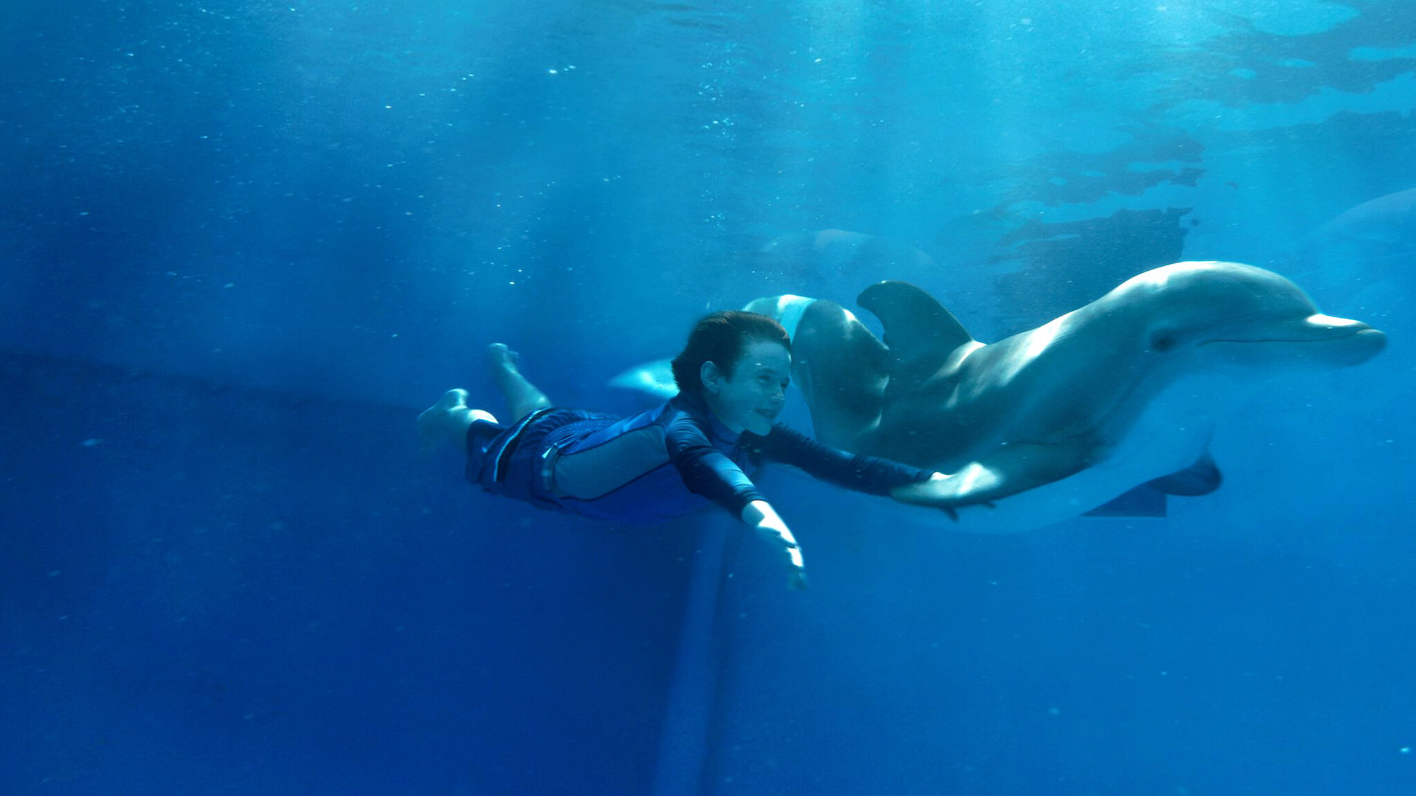 Wallpaper Dolphin Tale