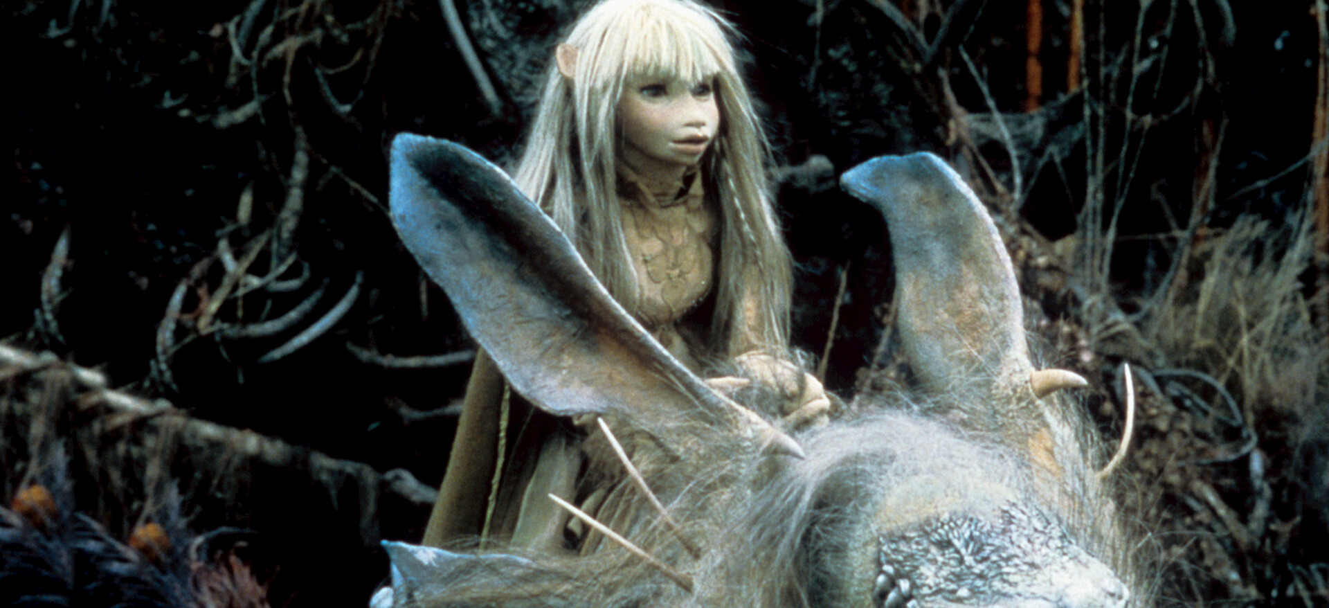 その他 THE DARK CRYSTAL Дивіться «The Dark Crystal» | Netflix