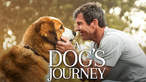 A dog's journey putlocker sale